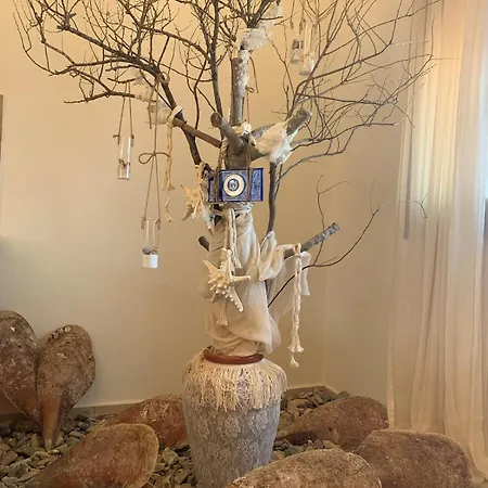 Blue Jasmine Leros *