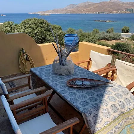 Blue Jasmine Leros *